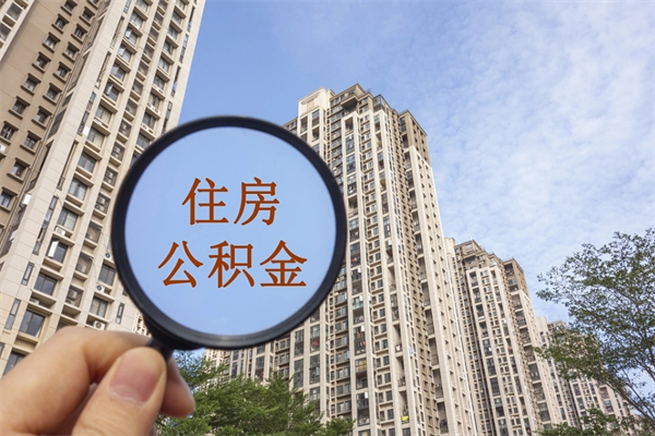 鹤岗辞职可以取住房公积金吗（我辞职了可以提取住房公积金吗）